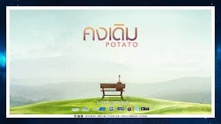 คงเดิม - POTATO