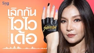 เลิกกัน ไวไวเด้อ - สายแนน โพธิ์งาม
