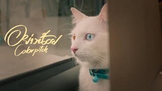 อย่างน้อย - COLORPiTCH