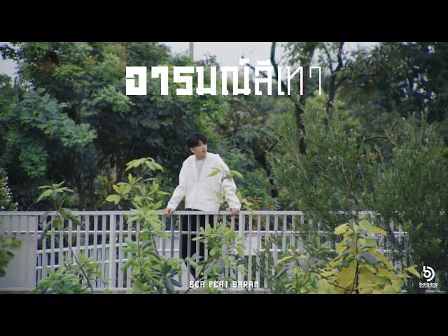 อารมณ์สีเทา  ft. SARAN