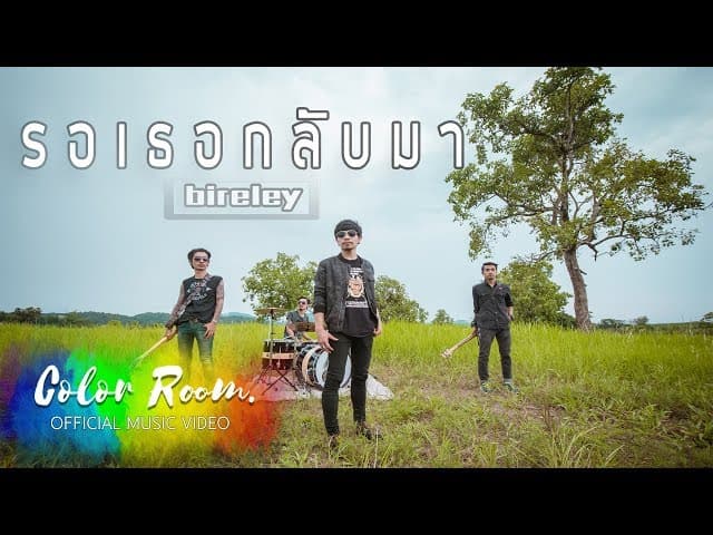 รอเธอกลับมา