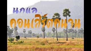 คอนเสิร์ตคนจน