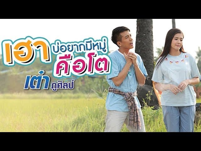 คอร์ดเพลง เฮาบ่อยากมีหมู่คือโต เต๋า ภูศิลป์