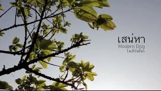 เสน่หา - Moderndog