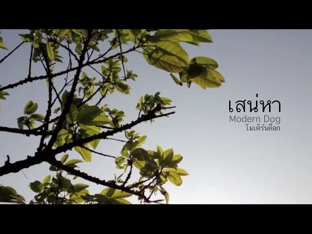 เสน่หา