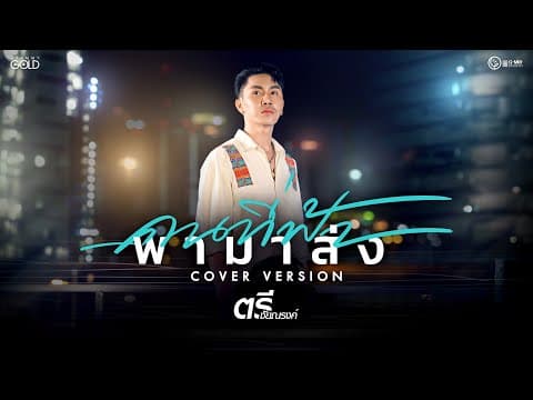 คนที่ฟ้า พามาส่ง - ตรี ชัยณรงค์