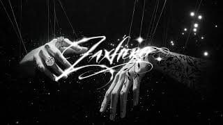 ดอกไม้สีเทา - PORZAX Feat. Pondering