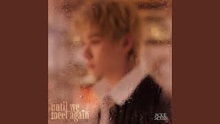 UNTIL WE MEET AGAIN