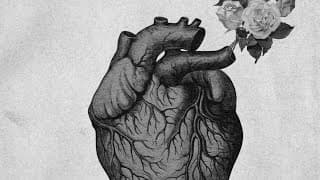 ฟีโรโมน BLVCKHEART ft. 2TFLOW