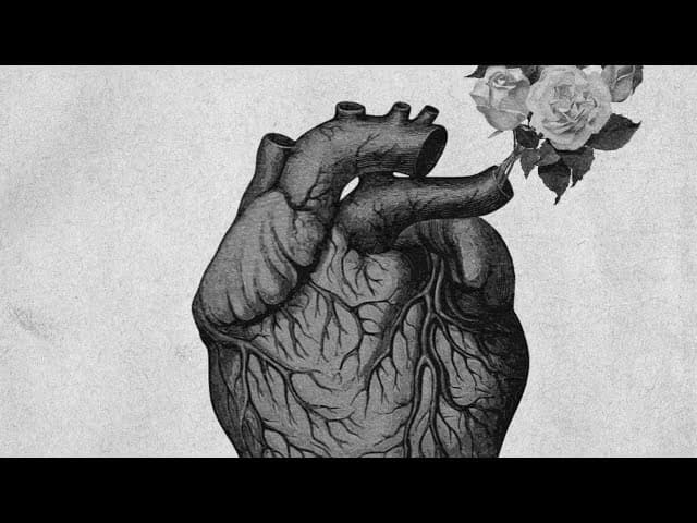 คอร์ดเพลง ฟีโรโมน BLVCKHEART ft. 2TFLOW