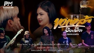 ขอเหล้าเพียวเพียว - น้องอาม นวลปาน