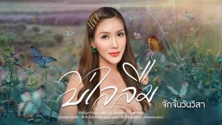 บ่ไลลืม  ft. Aun Malong - จักจั่น วันวิสา
