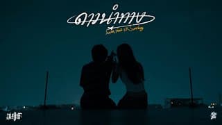 ดาวนำทาง  ft. 2K, SUMDONG - SURE