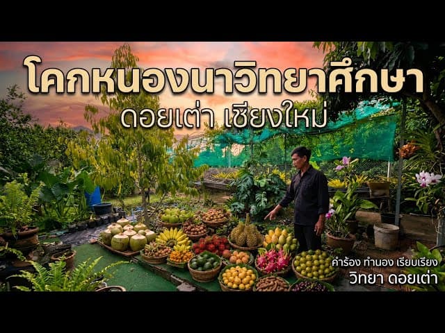 โคกหนองนาวิทยาศึกษา - วิทยา ดอยเต่า