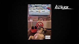 Loyalty - ILLSLICK
