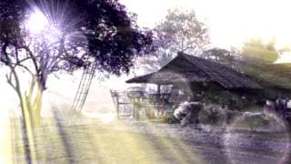 บ้านกลางไพร