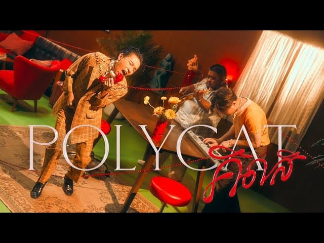 คิดสิ - POLYCAT