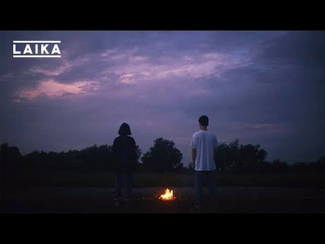 รอยแผล (Scars)