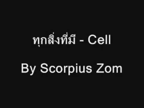 ทุกสิ่งที่มี - CELLs