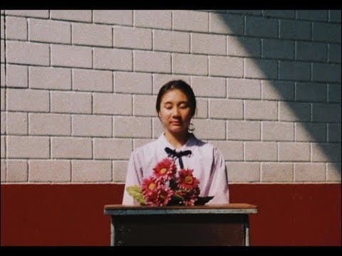The Diary - LANDOKMAI
