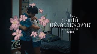 ดอกไม้แห่งความงดงาม (Blossom) - Famoso