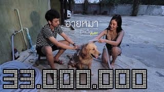 อายหมา