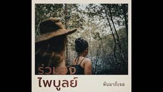 หันมาก็เจอ - ร่วมวงไพบูลย์