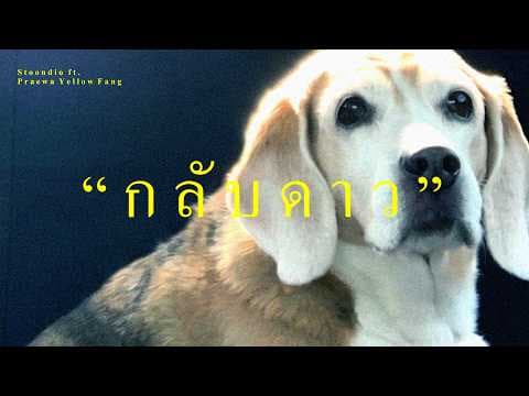 กลับดาว (I miss you.)  ft. Praewa Yellow Fang - Stoondio