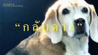 กลับดาว (I miss you.)  ft. Praewa Yellow Fang - Stoondio
