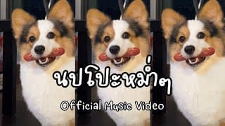 นปโปะหม่ำๆ - staywithnoppo