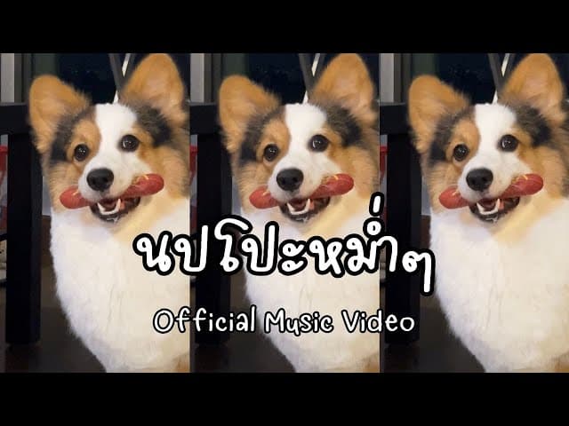 นปโปะหม่ำๆ