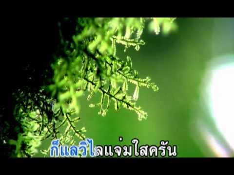 ลมหนาว - เพลงพระราชนิพนธ์