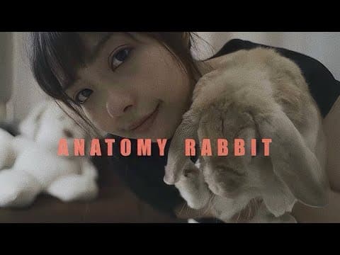 แอบหวัง - ANATOMY RABBIT