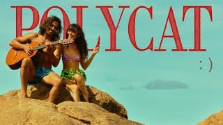 ข้อความรูปยิ้ม - POLYCAT