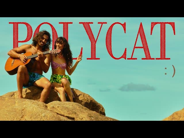 ข้อความรูปยิ้ม - POLYCAT