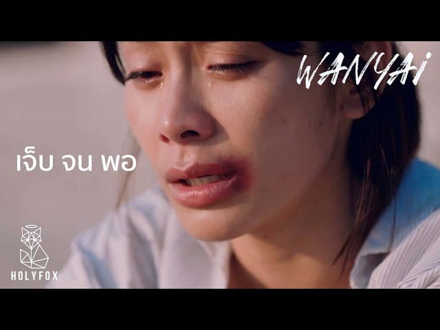 เจ็บจนพอ