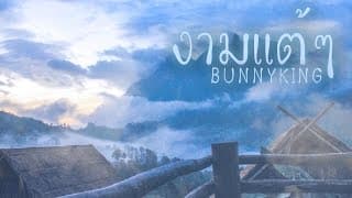 งามแต้ๆ - BUNNYKING