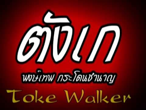 ตังเก - พงษ์เทพ กระโดนชํานาญ