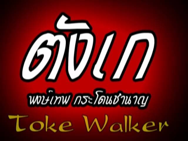 ตังเก - พงษ์เทพ กระโดนชํานาญ