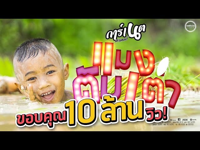 แมงตับเต่า