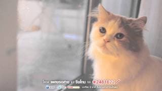 คำบางคำ - Sqweez Animal