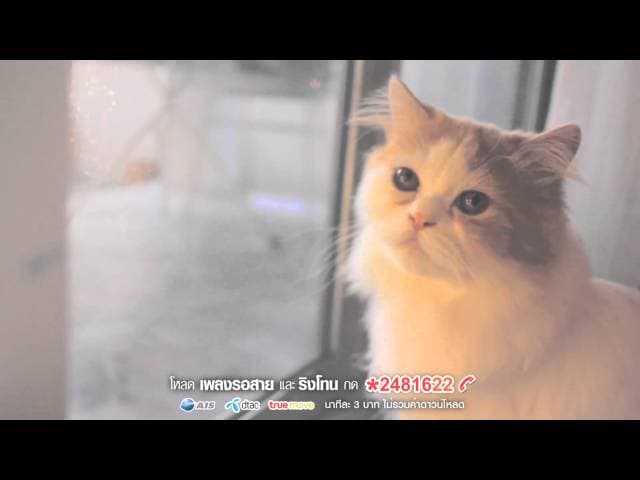 คำบางคำ