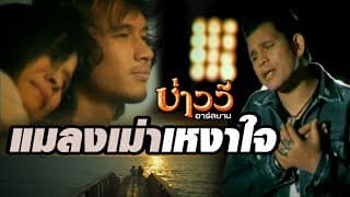 แมลงเม่าเหงาใจ