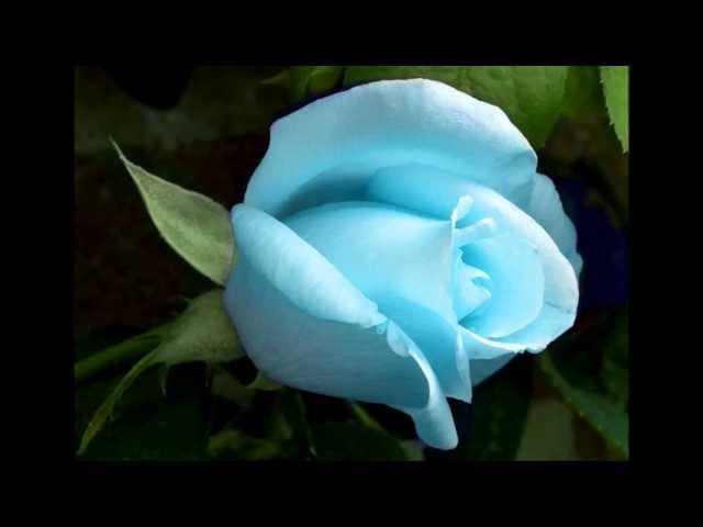 คอร์ดเพลง บุพเพสันนิวาส ศรัณย่า ส่งเสริมสวัสดิ์