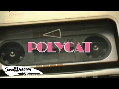 พบกันใหม่ - POLYCAT