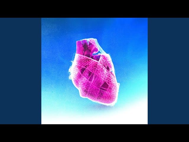 คอร์ดเพลง ยิ่งห้ามยิ่งยุ (YHYU) - Mirrr