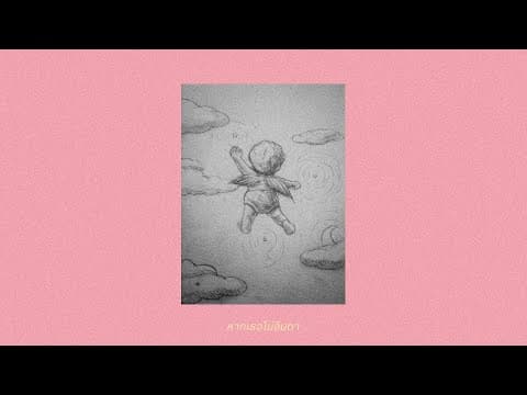 ตาฟา Tapha - ANATOMY RABBIT