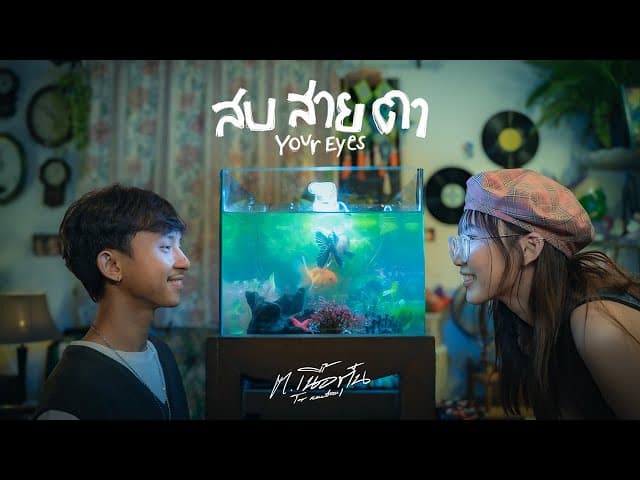 สบสายตา