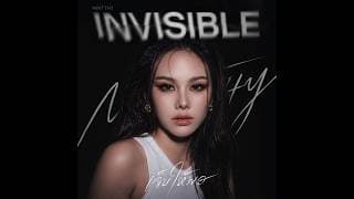 เจ็บให้พอ (Invisible)