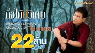 กิ่งไม้บ่วิเศษ - ไผ่ พงศธร